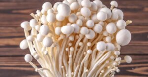 avatar1775641278848 17756412810251311081443