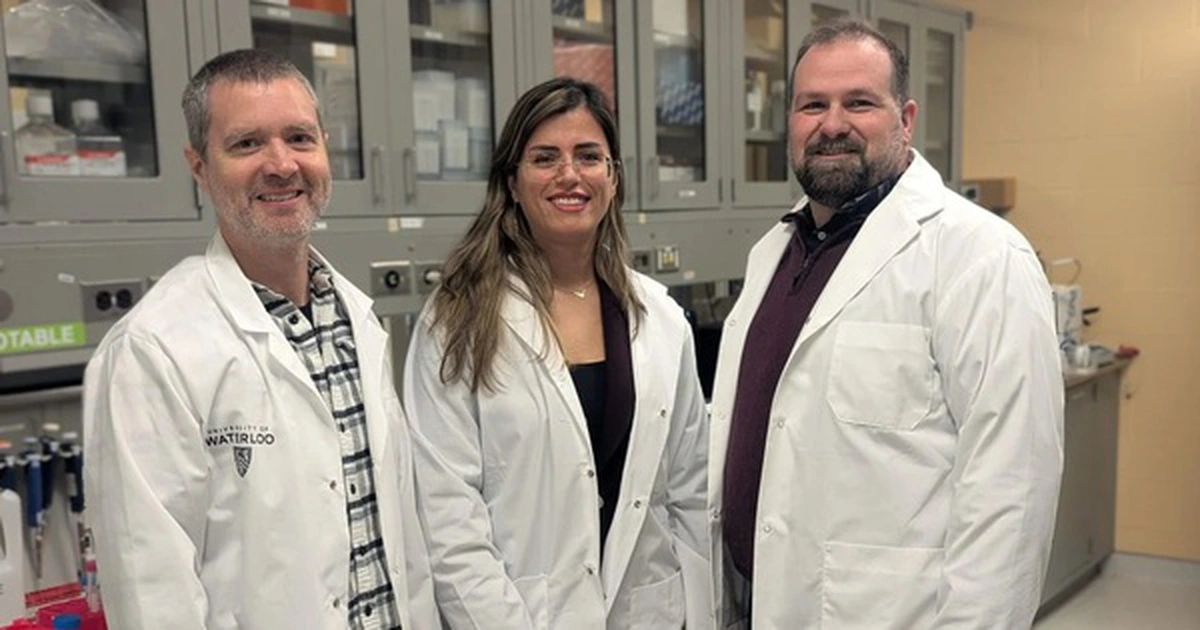 avatar1775713085456 17757130856771534822879