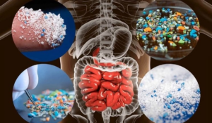 avatar1775730013076 17757300140451840127825