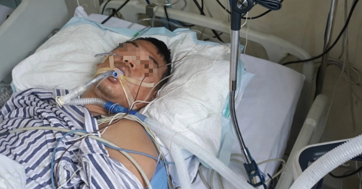 avatar1775785624810 1775785625195621779525