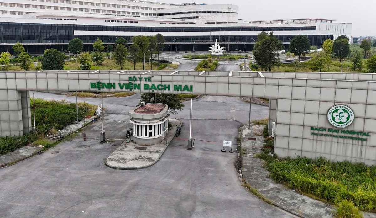 avatar1775803265870 17758032661631923672593