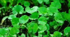 avatar1775804838211 1775804838678900349524 0 0 314 600 crop 17758048979811950709514