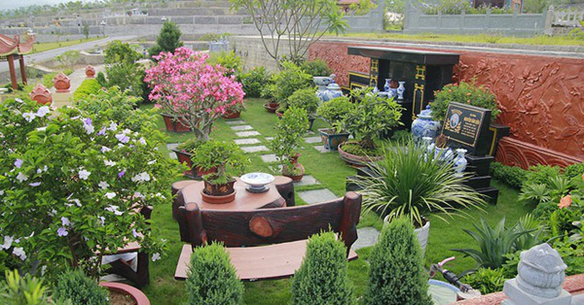 avatar1775810801841 17758108022431504677306 0 0 314 600 crop 17758108685401111177930