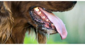 avatar1775820543062 17758205434881372794746