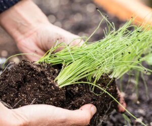 avatar1775828659199 17758286596631982319884