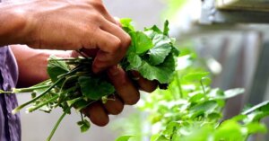 avatar1775909545745 1775909546123674909735 92 0 835 1420 crop 1775909636431880901096