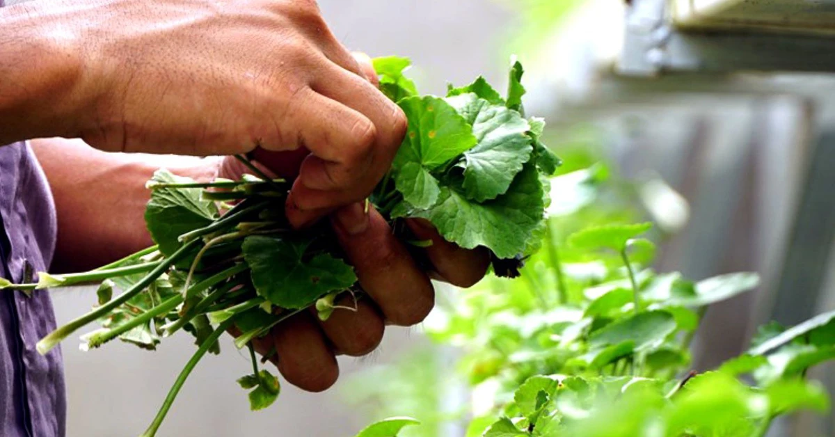 avatar1775909545745 1775909546123674909735 92 0 835 1420 crop 1775909636431880901096