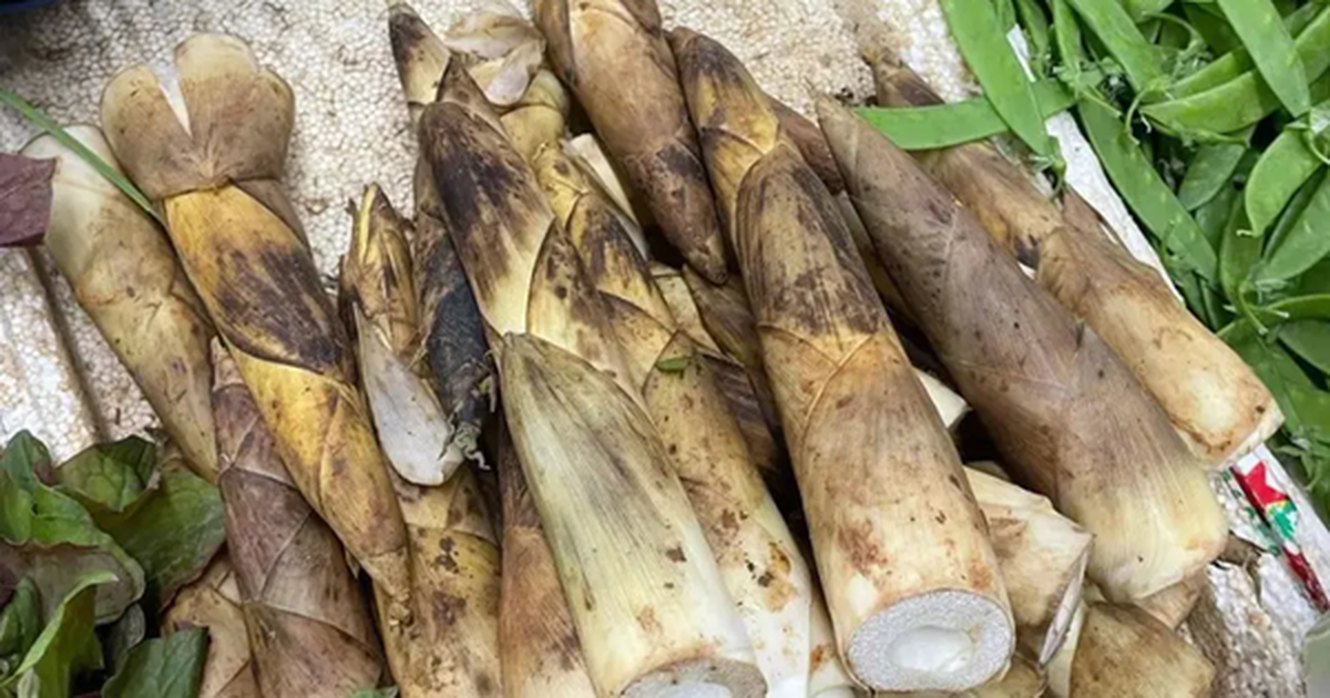 avatar1775954750731 17759547511321485440913