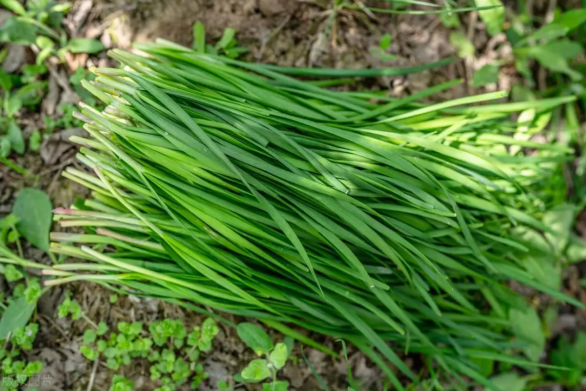 avatar1775955011803 1775955012576544366810