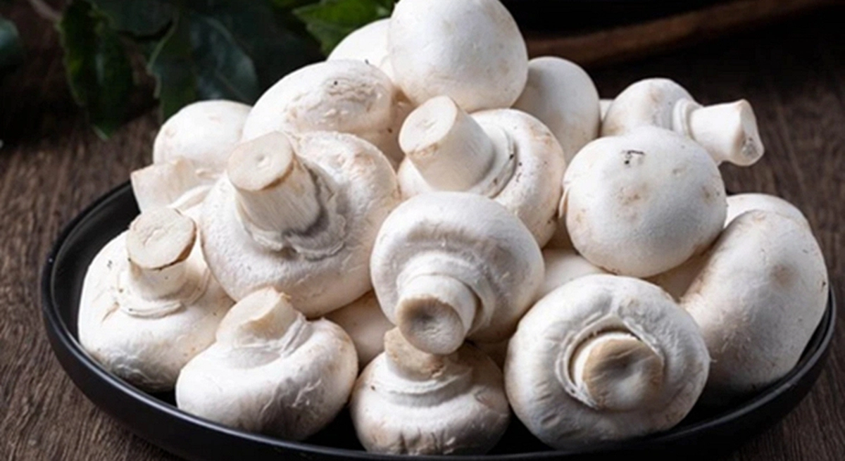 avatar1775997390952 1775997391565961620499