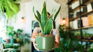 avatar1776047842623 17760478430021756663195