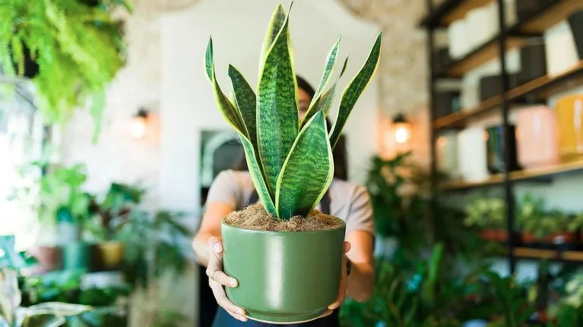 avatar1776047842623 17760478430021756663195