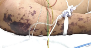 avatar1776057544165 17760575444041907541208