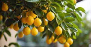 avatar1776073046315 1776073046820874424149 153 0 788 1213 crop 17760731199781104869319