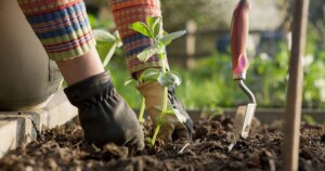 avatar1776149064165 1776149064865778121752