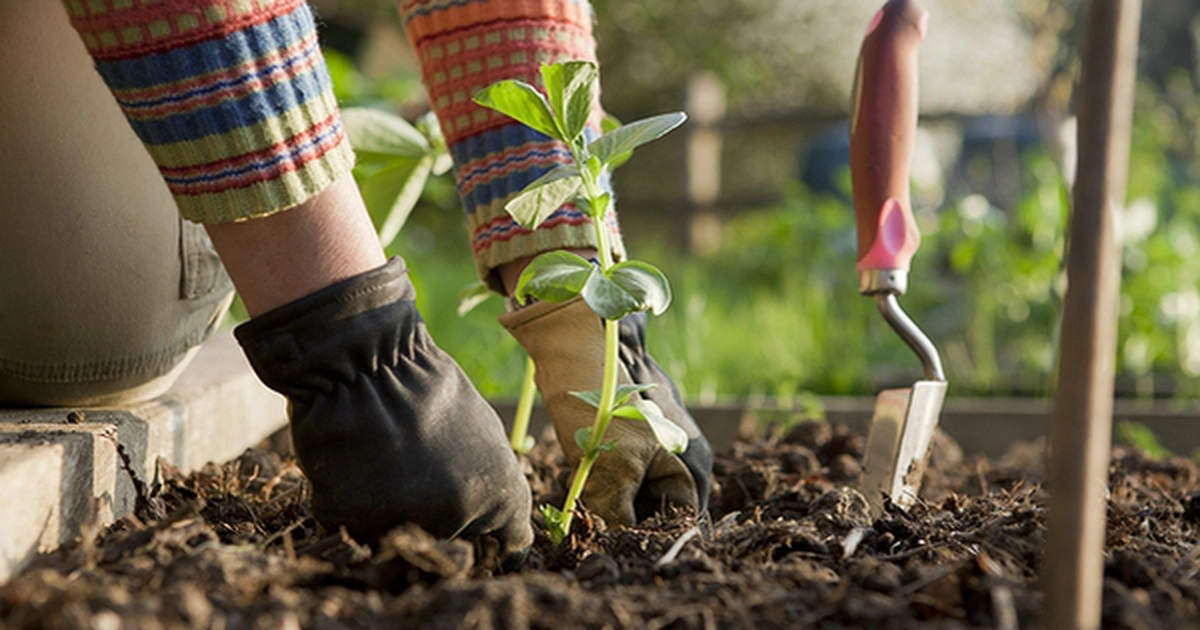 avatar1776149064165 1776149064865778121752