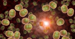 avatar1776150356919 1776150357422809348287 0 0 348 665 crop 17761503951101757935469