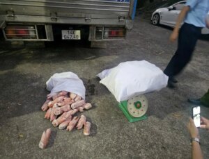 avatar1776157868585 17761578691112006912843