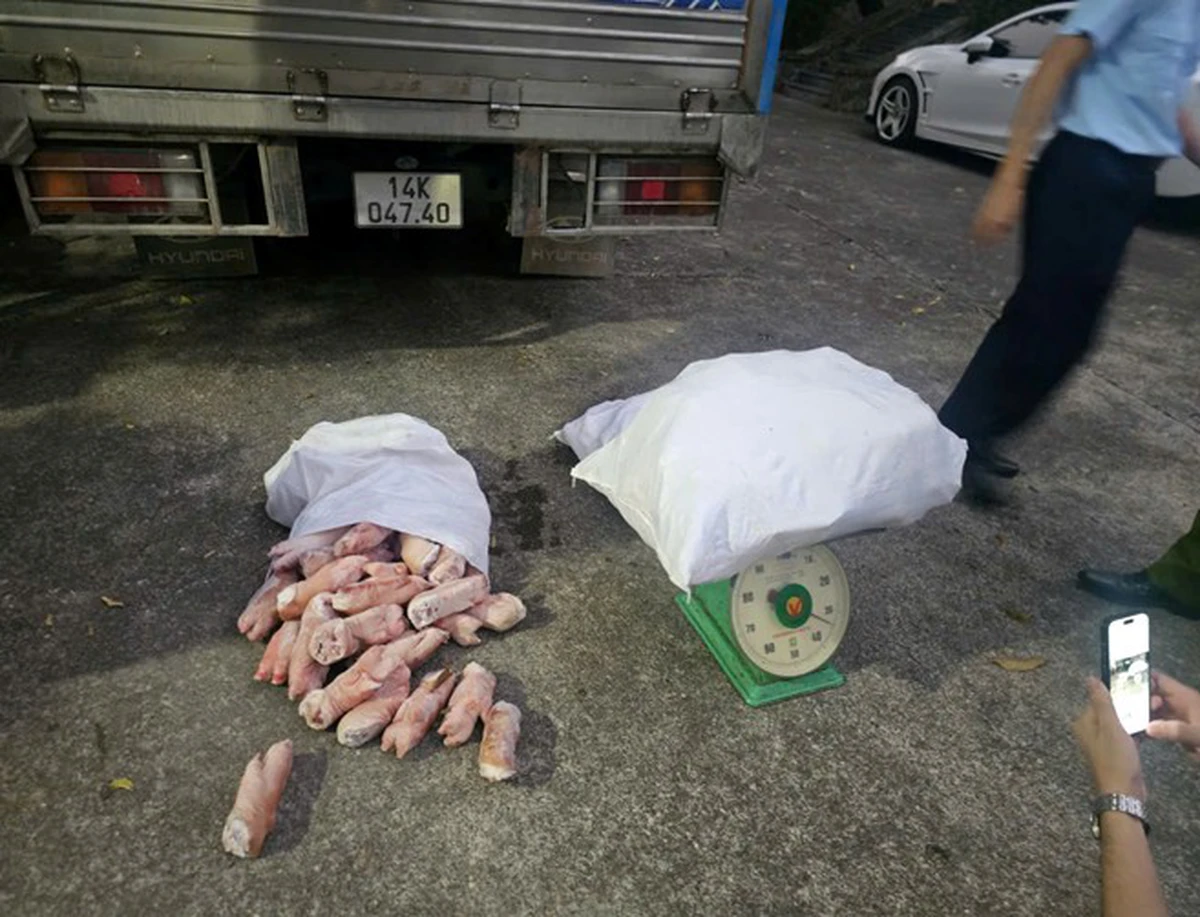 avatar1776157868585 17761578691112006912843