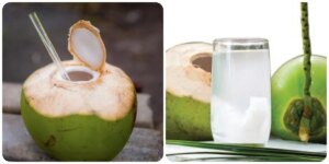 avatar1776224565400 17762245657821266224223