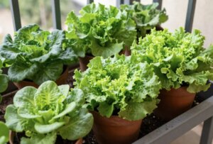 avatar1776239530995 1776239531381741307113