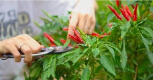 avatar1776244449119 1776244449498889890089 0 0 314 600 crop 1776244487746662403660