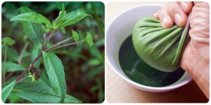 avatar1776244527408 17762445292671395968049