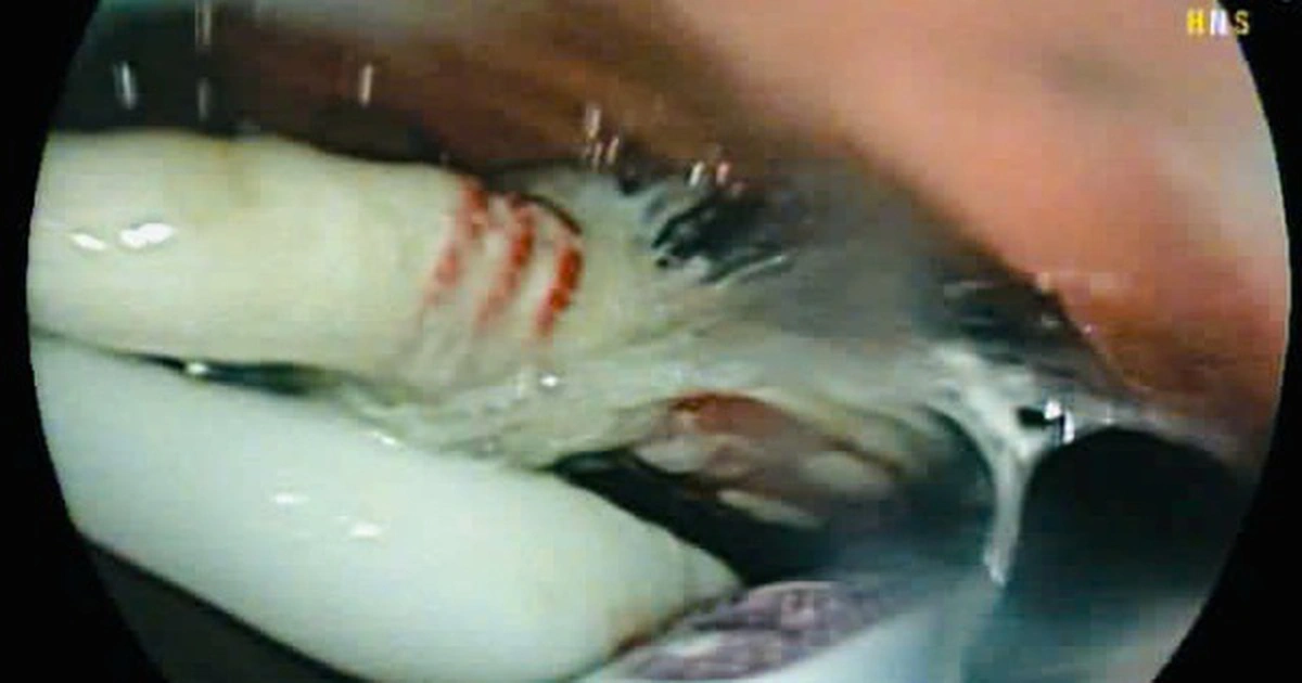 avatar1776256270549 17762562708661990454694