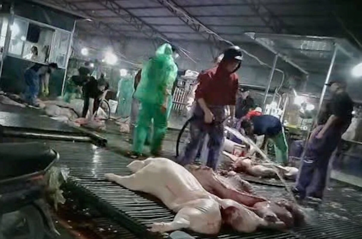 avatar1776296175350 17762961759481498097154