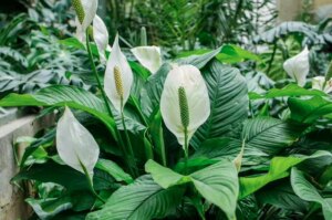 avatar1776309877515 17763098777821736039593