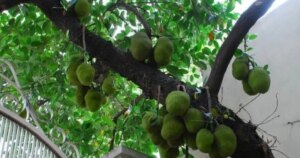 avatar1776328633625 17763286345661286527247