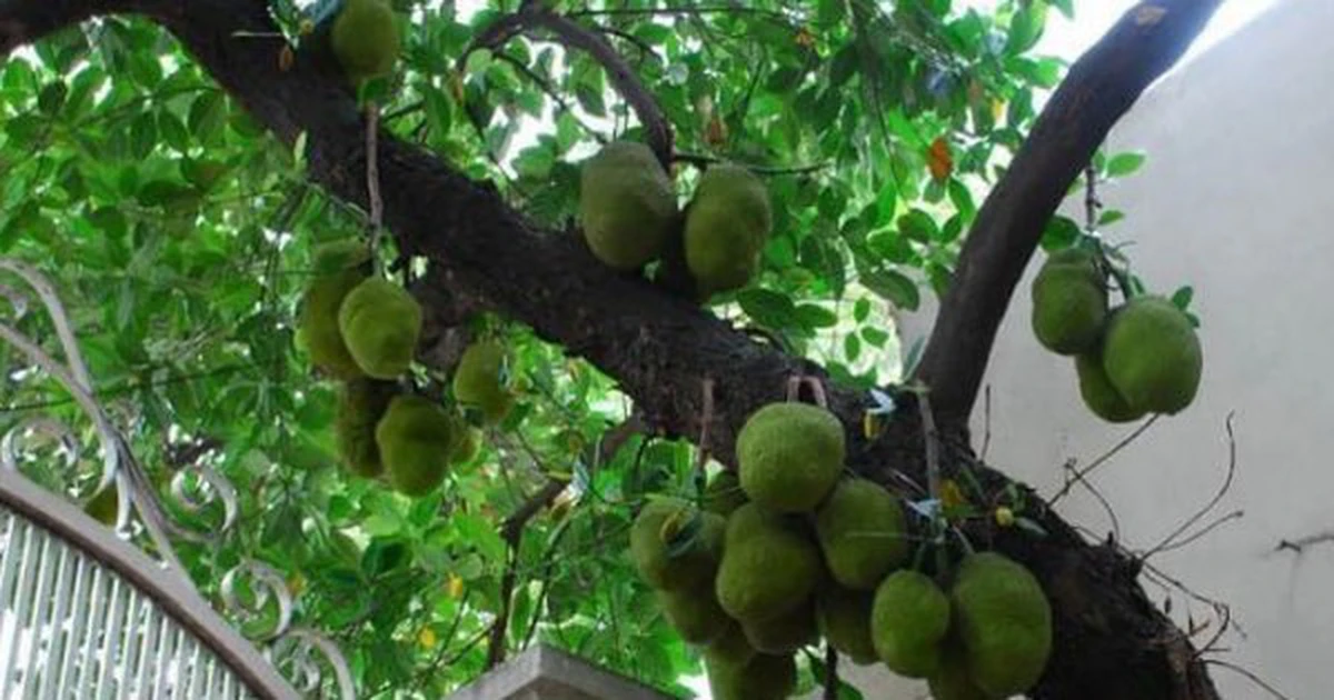 avatar1776328633625 17763286345661286527247