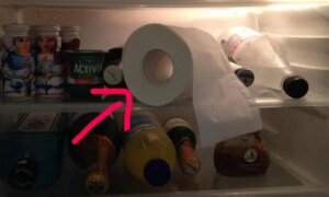 avatar1776391071984 1776391072327413299458