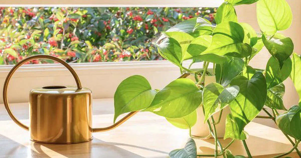 avatar1776398739321 1776398739668517852821