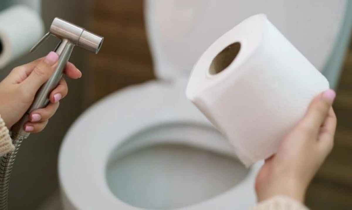 avatar1776404680507 1776404680733711730968