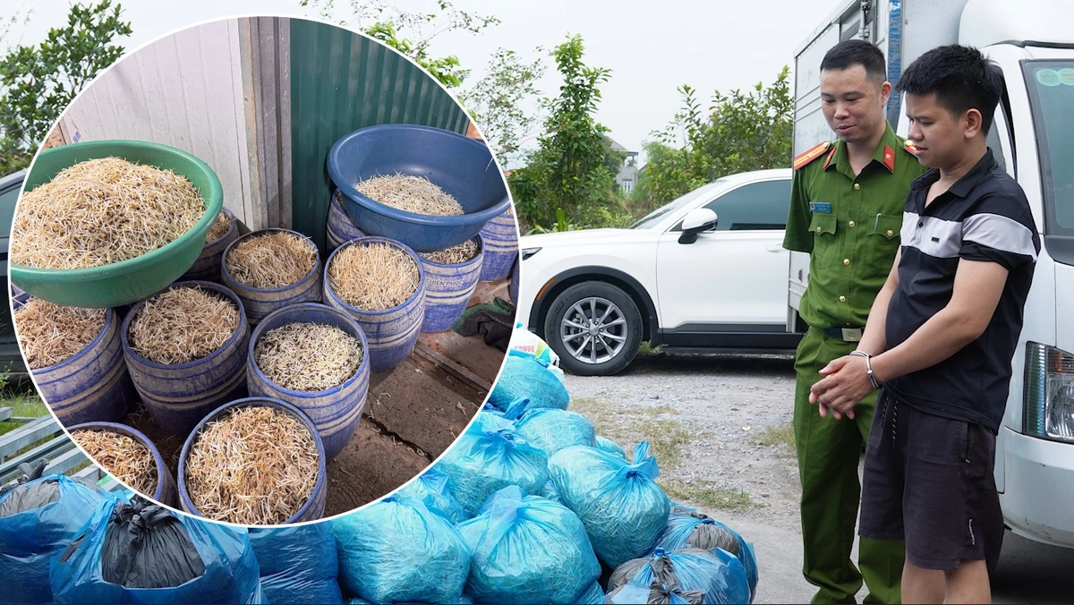 avatar1776416863630 17764168652601965144865