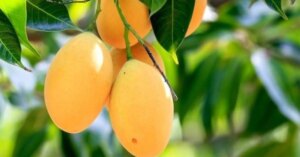 avatar1776417085142 17764170856431683526180 0 0 314 600 crop 17764171453681426314695