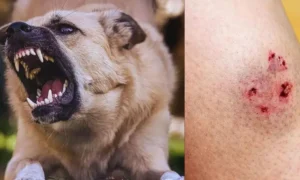 avatar1776469851881 1776469852613452089382.webp