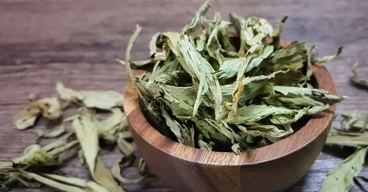 avatar1776471393854 1776471394220279197067