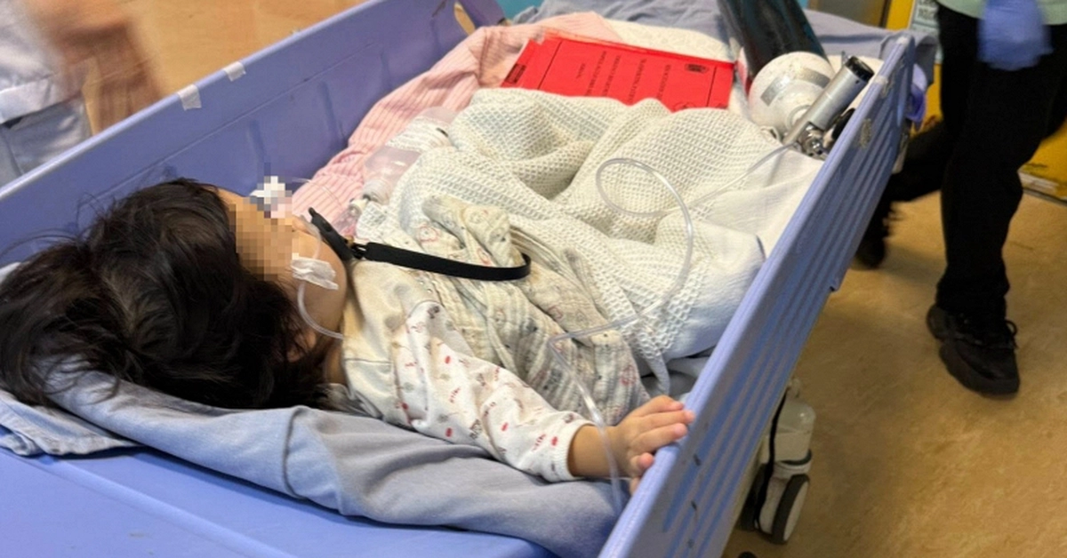 avatar1776498707297 17764987075441041281730