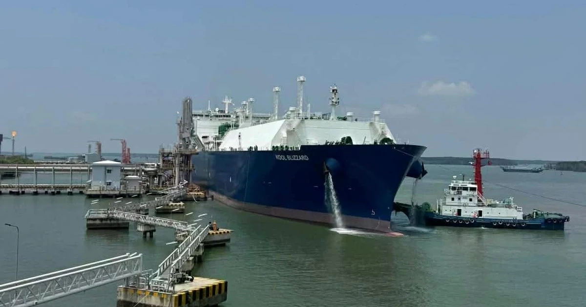 avatar1776558573457 1776558573989962445911.webp