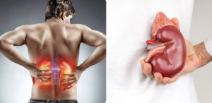 avatar1776587055586 1776587056845150107341