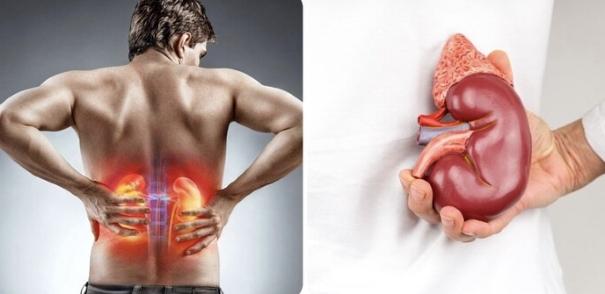 avatar1776587055586 1776587056845150107341