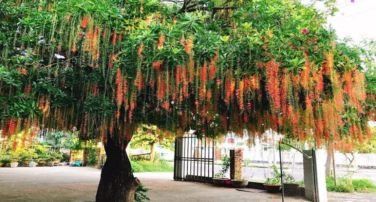 avatar1776607462012 1776607462272203628575