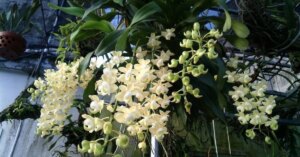 avatar1776643449464 1776643449729490439892