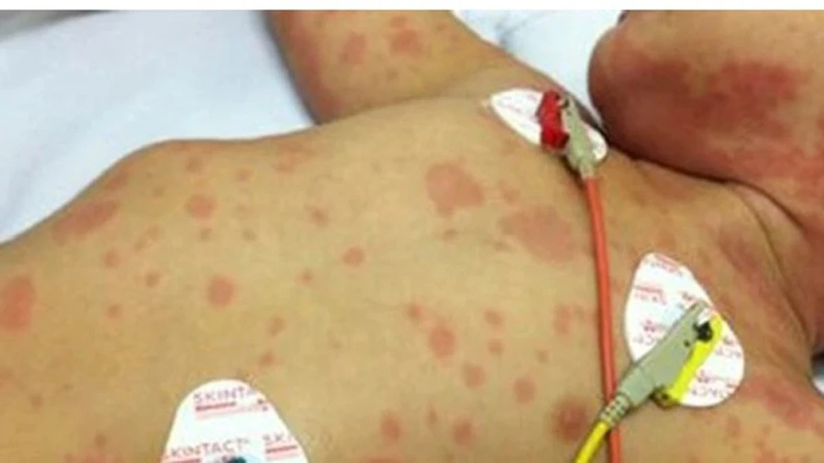 avatar1776647825091 1776647825454545028121