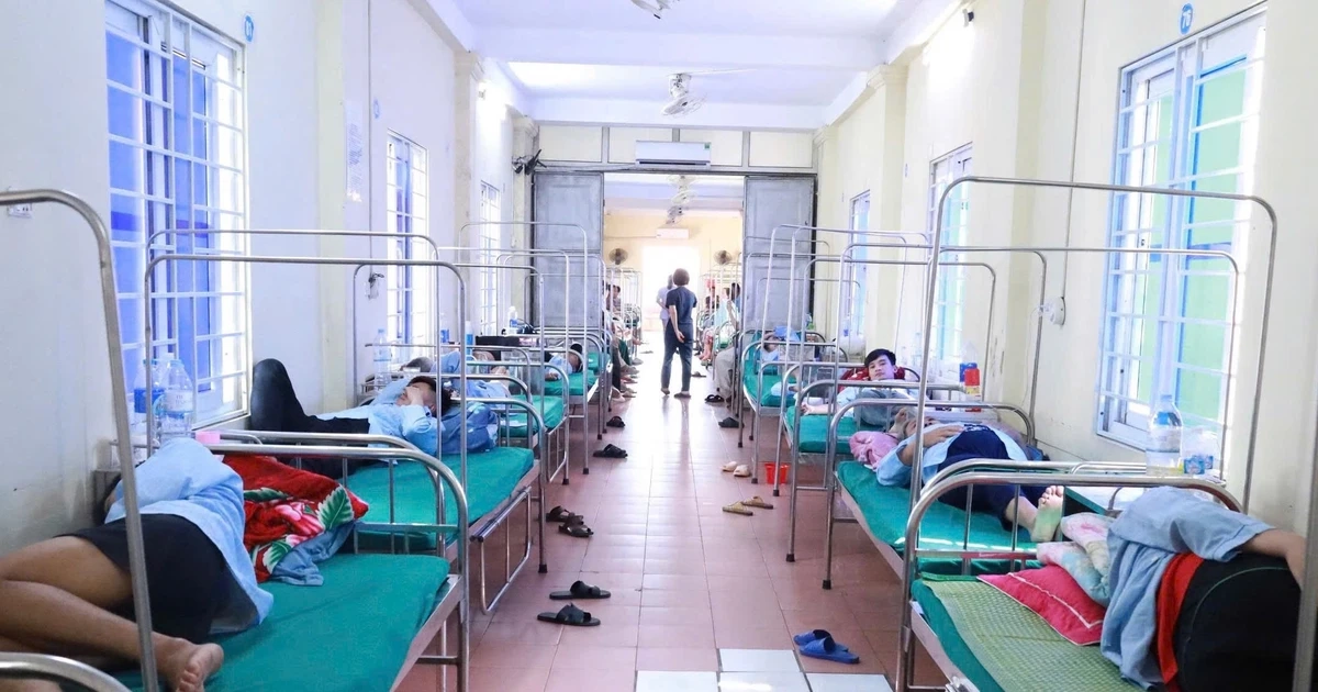 avatar1776685254768 17766852552291647232319.webp