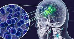 avatar1776693275325 17766932761291601532543