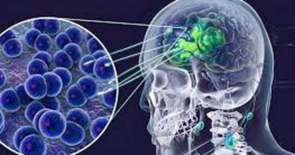 avatar1776693275325 17766932761291601532543