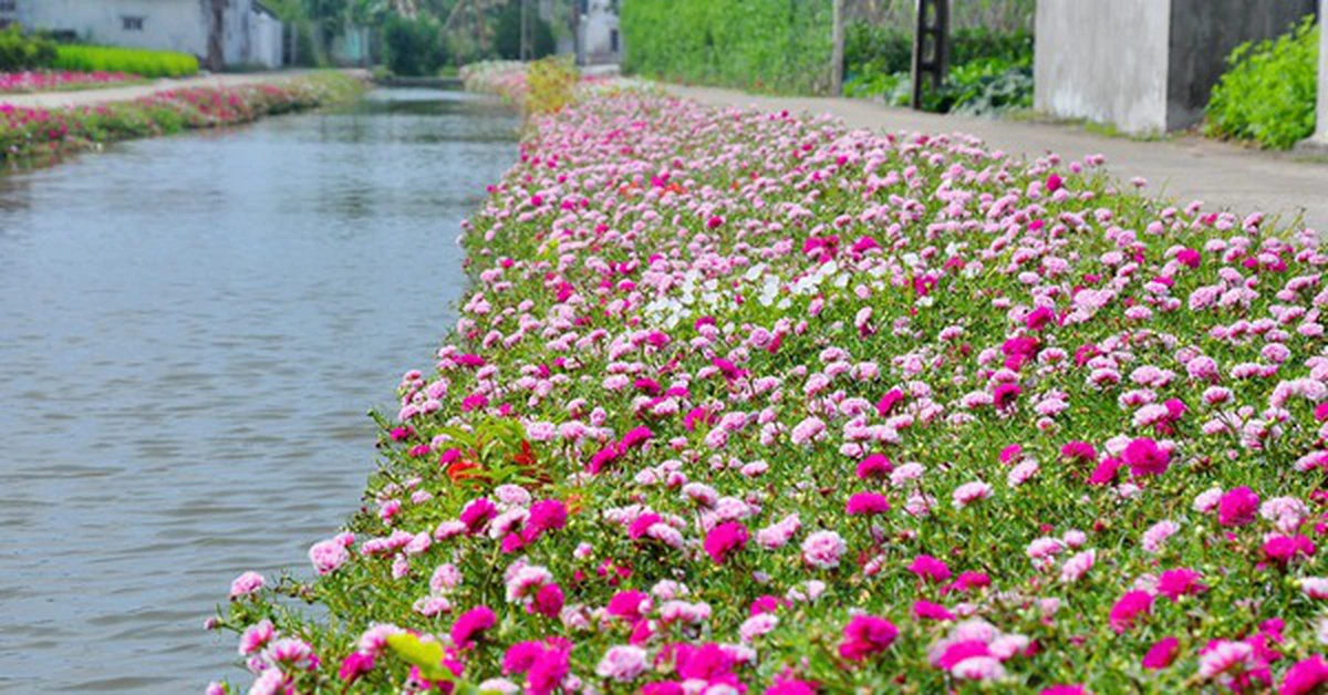 avatar1776730300302 1776730301905845817295 0 0 314 600 crop 17767318367091213569032